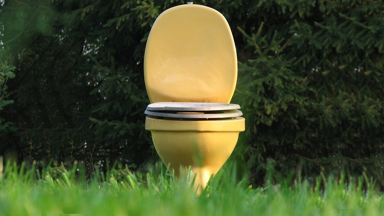 toilet_wc_pixabay
