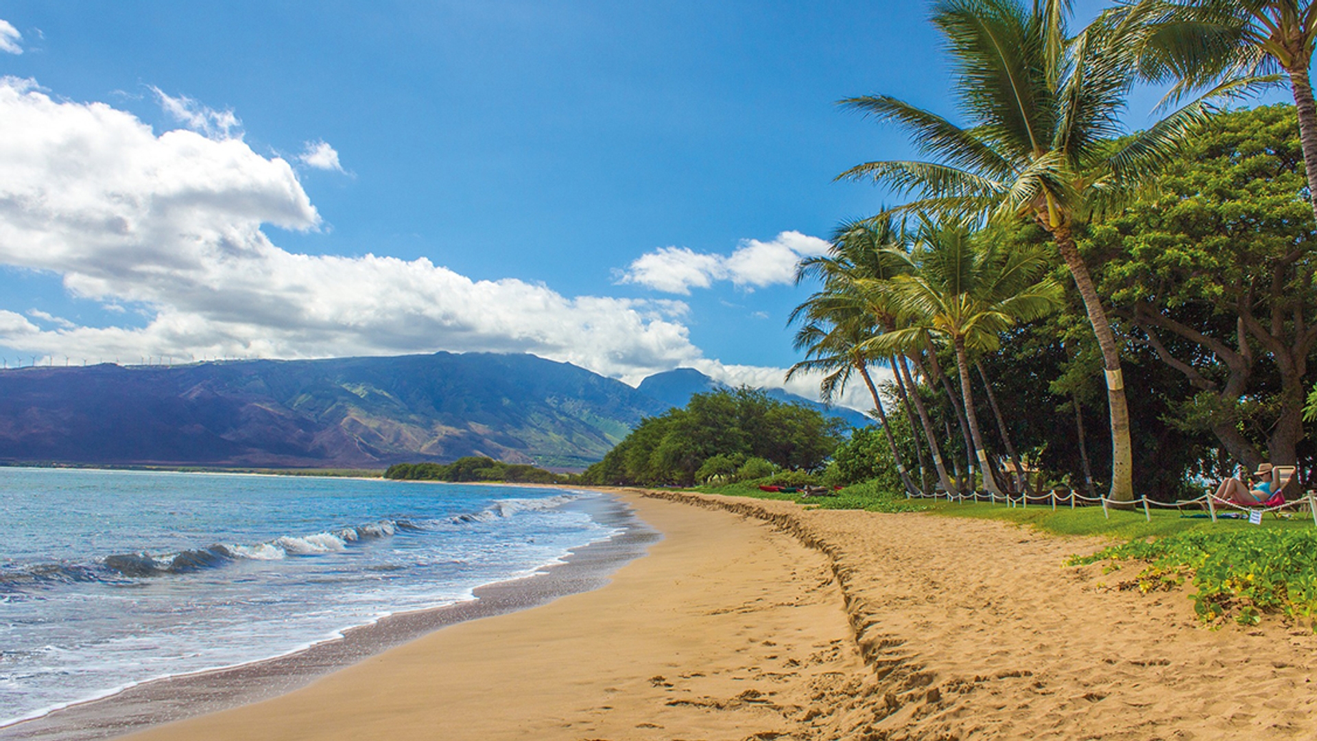 strand_Hawaii_pixabay