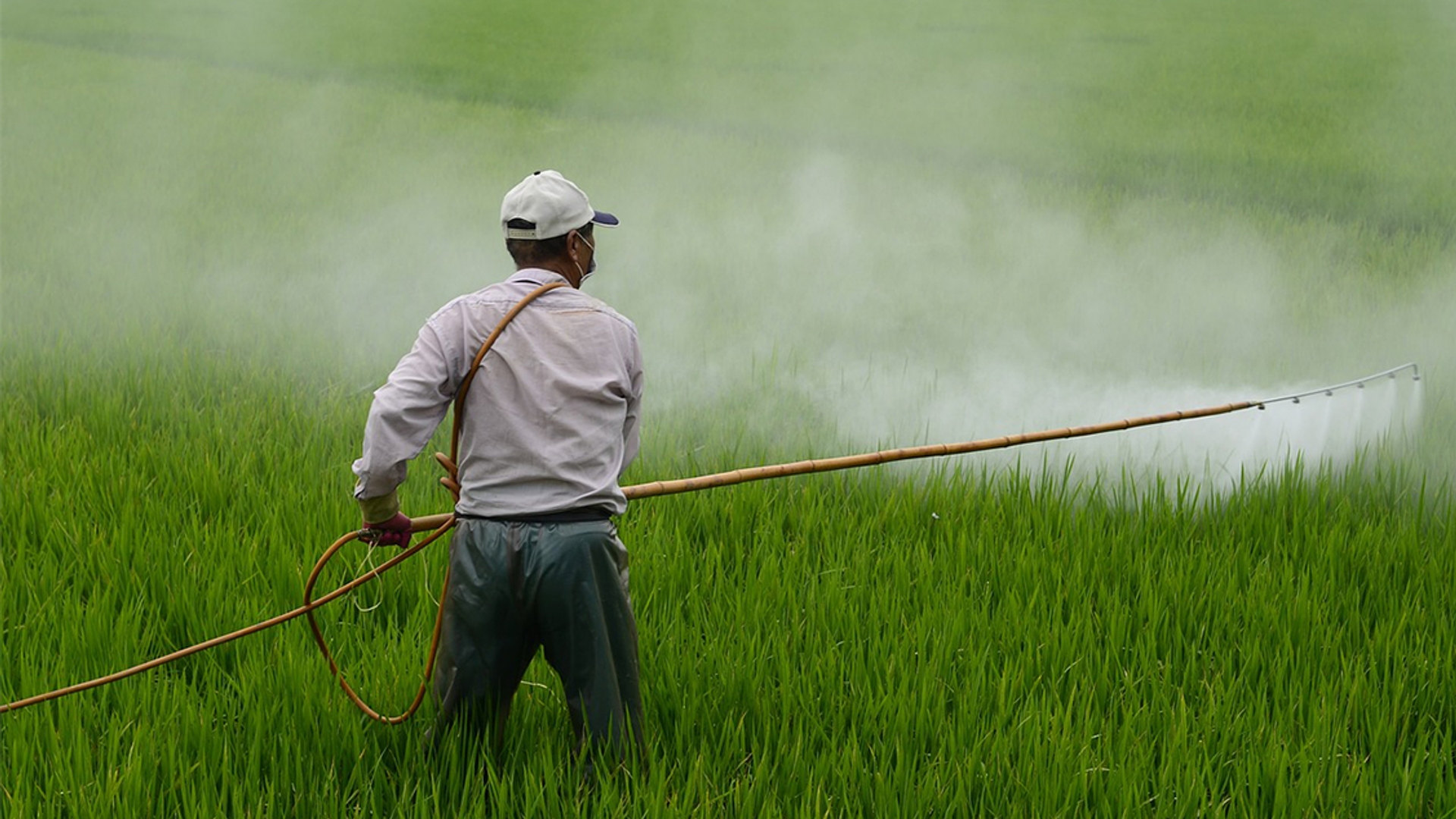 Pesticide_pixabay