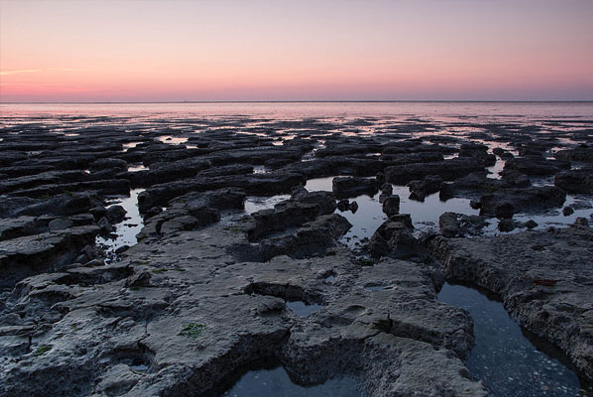 wadden2