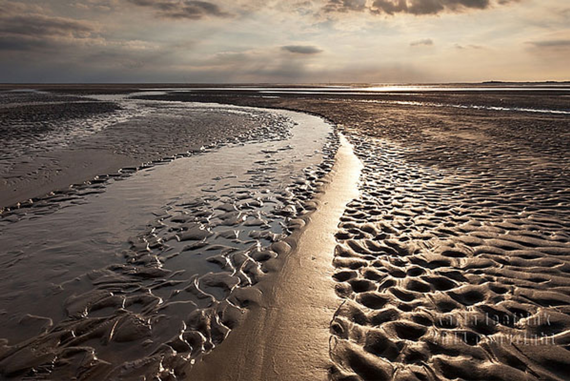 wadden1