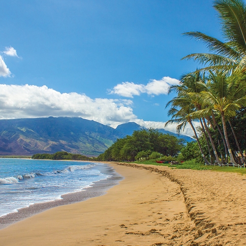 Oliegiganten aangeklaagd in Hawaii om klimaatverandering