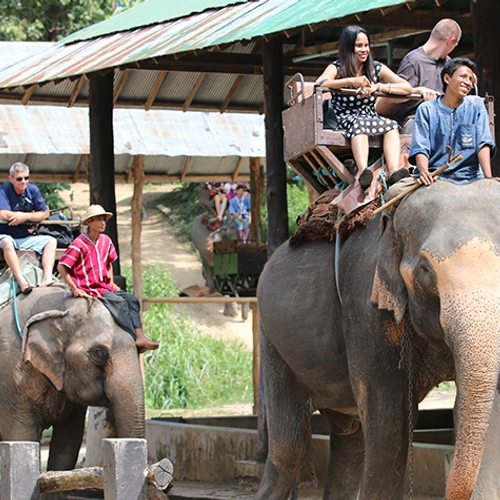 Geen olifantenritten meer bij Cambodjaans tempelcomplex