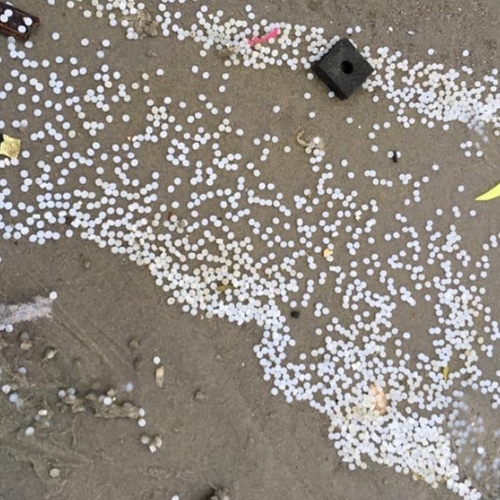 Nog steeds miljoenen plastic korreltjes op Schiermonnikoog