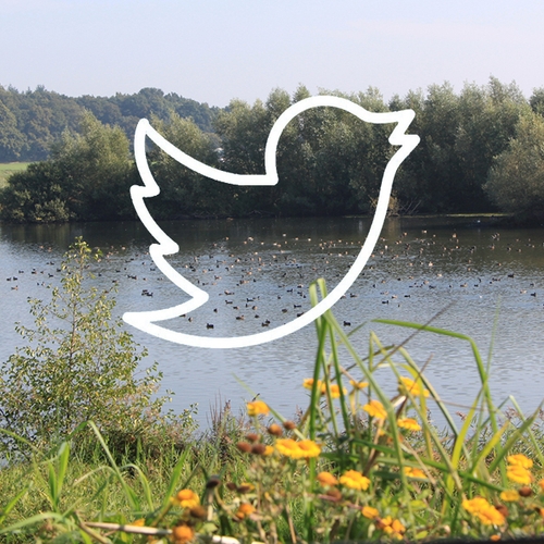 Nederland tweet massaal voor behoud natuur