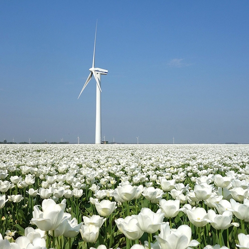 Nederland wil sancties voorkomen door duurzame energierechten te ‘kopen’